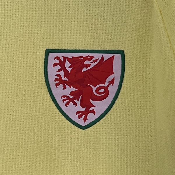 24/25 Wales Away