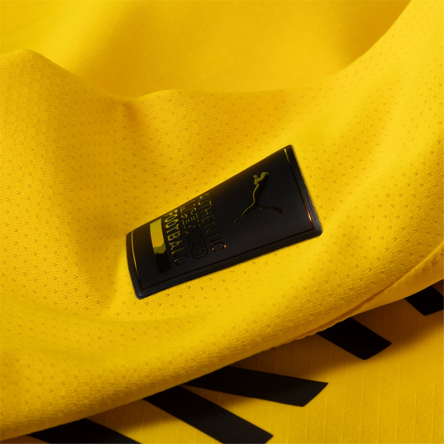 Borussia Dortmund 24/25 Home Jersey