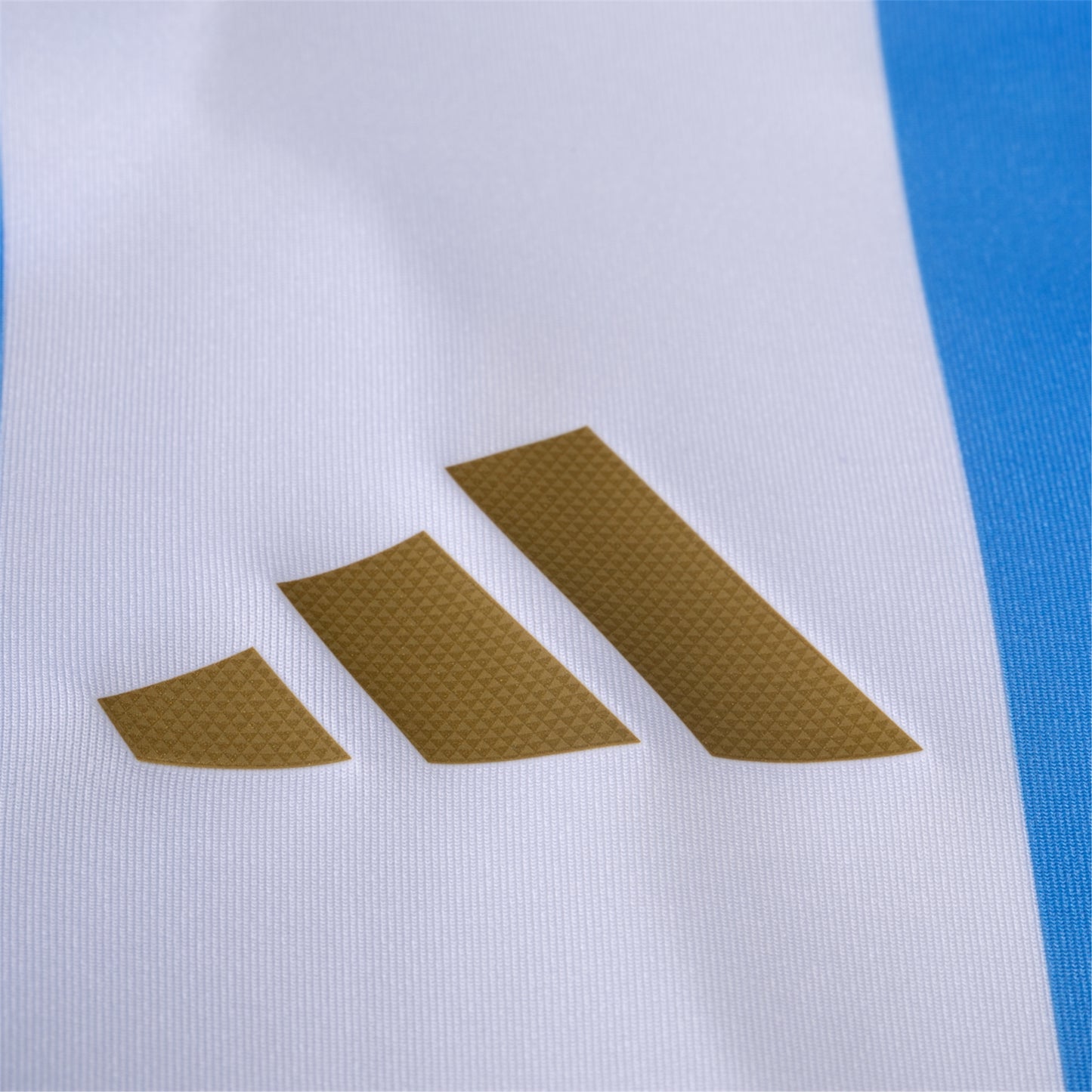 Argentina 24/25 Home Jersey